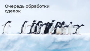 сделки amoCRM, амосрм, виджет